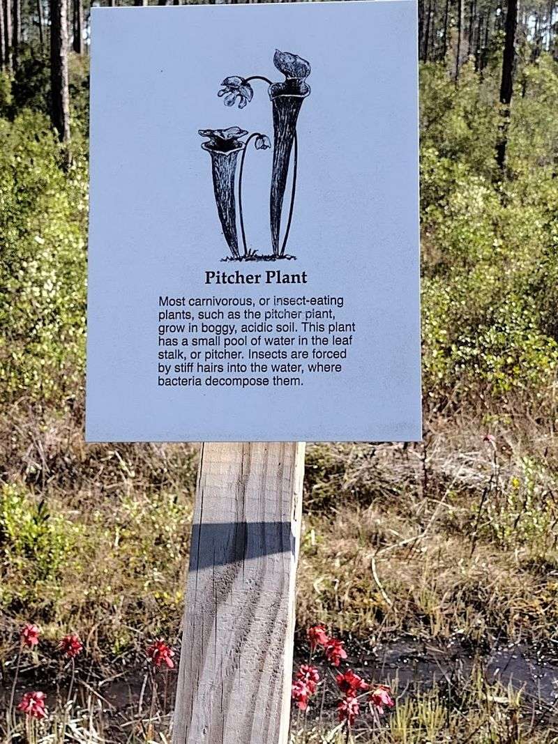 Interactive Learning Features That Make the Trail Smarter