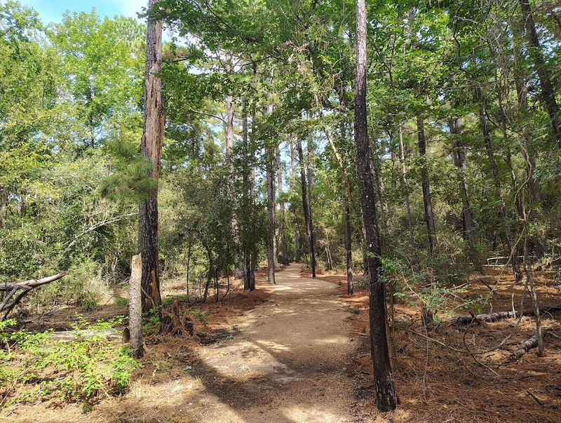 Well-Maintained Trails for Easy Access