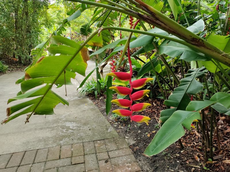 Smart Tips for Planning Your Visit
