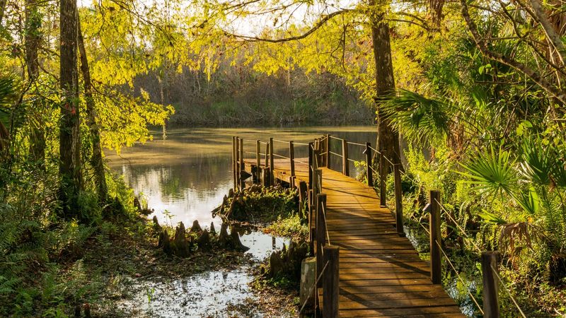 Fakahatchee Strand Preserve State Park (Copeland / Everglades Area)