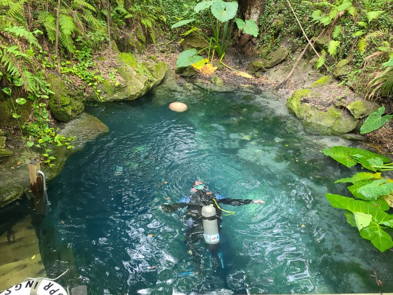 A Favorite Spot for Divers—But Still Quiet and Underrated