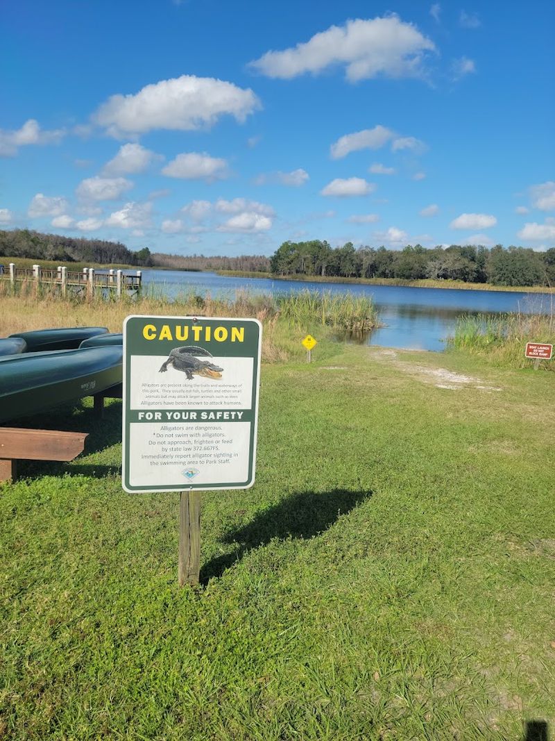 Paddling Adventures With Wildlife Encounters