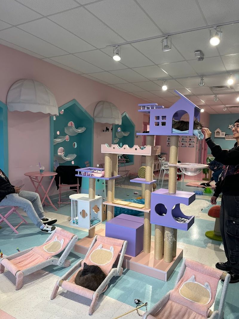 Booking Tips and Best Times