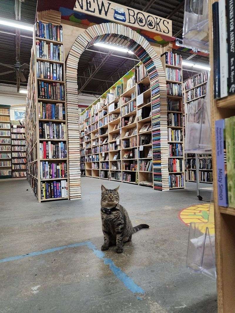 New and used books share the spotlight