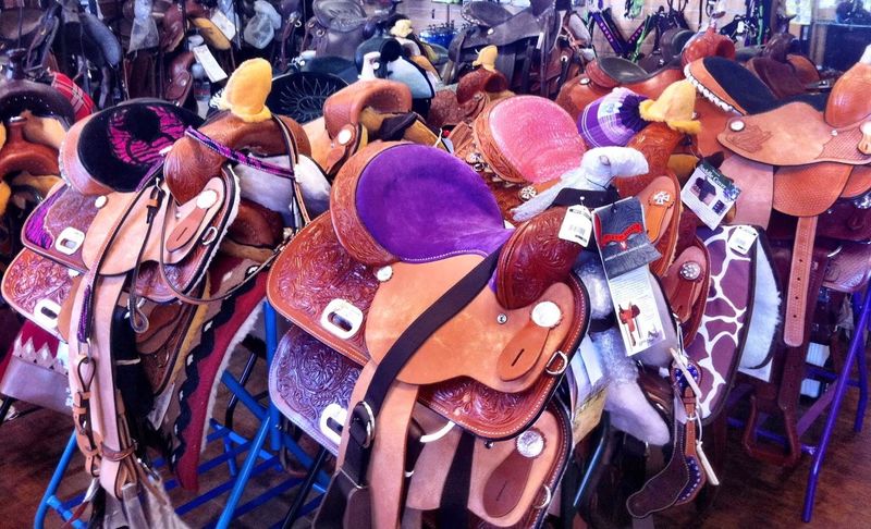 Gear for Horses and Riders