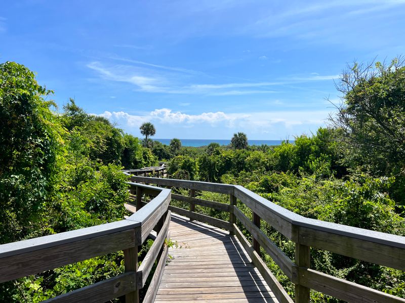 What to Bring for a Perfect Beach Night Under the Stars