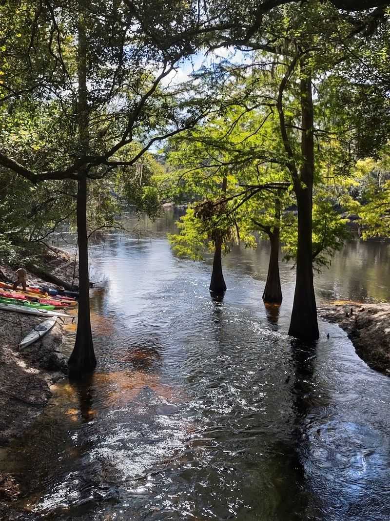 Explore River Ruins at Suwannee River State Park