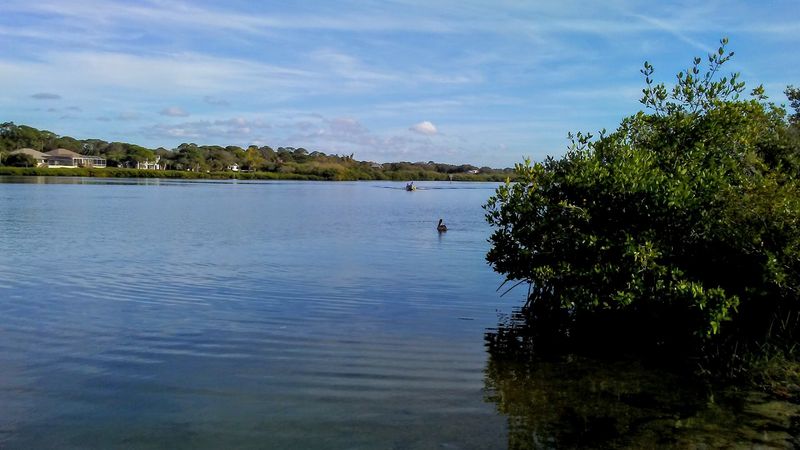 Paddleboarding and Snorkeling on Lemon Bay