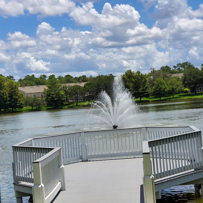 A Patio on the Pond