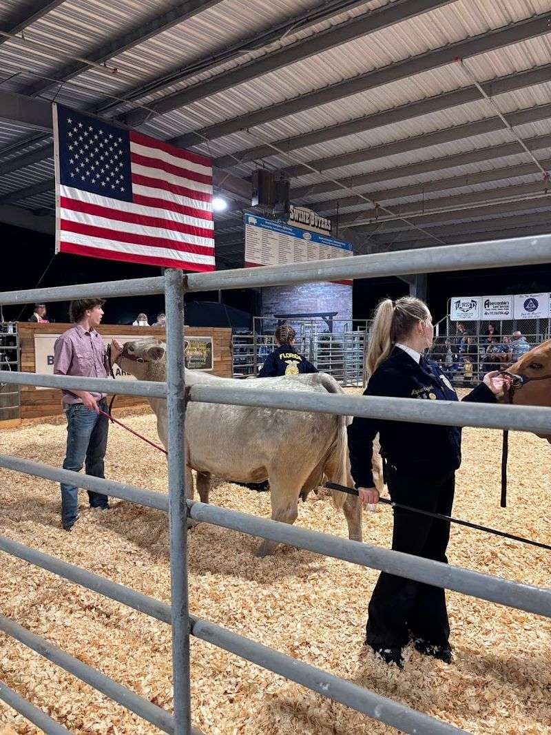 St. Lucie County Fair (Fort Pierce)