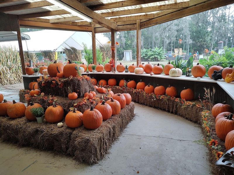Great Scott Farms Fall Festival (Mount Dora) - September 26-November 15