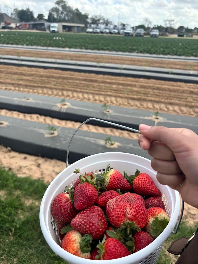 Supporting Local Agriculture Right in Your Backyard