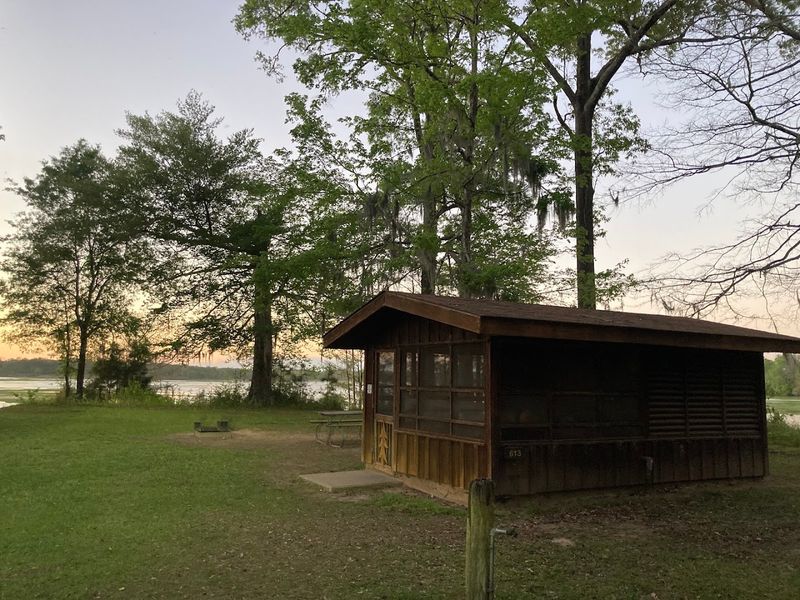 Spacious Campsites With Old-Growth Charm