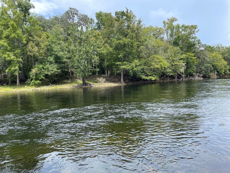 Gilchrist Blue Springs