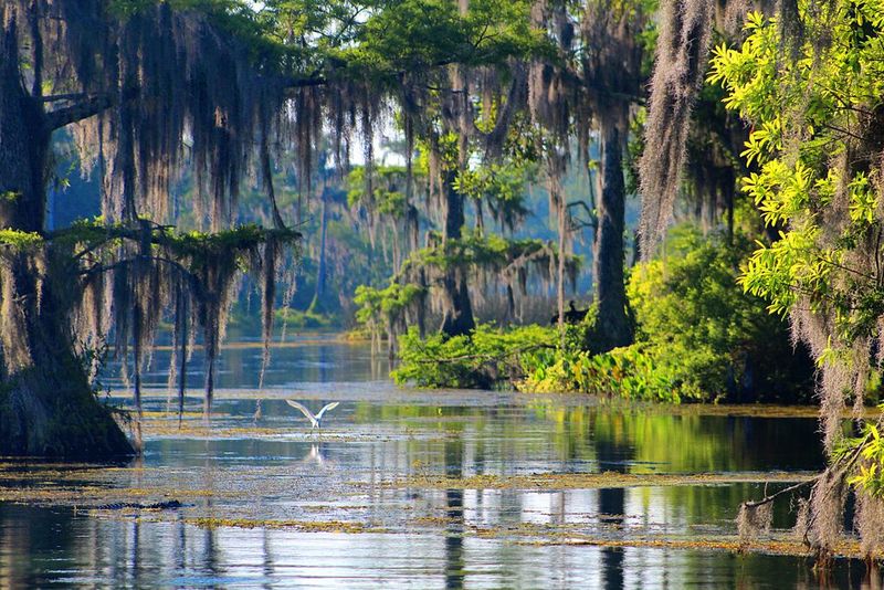 Freshwater Lagoon for Kayaking Adventures