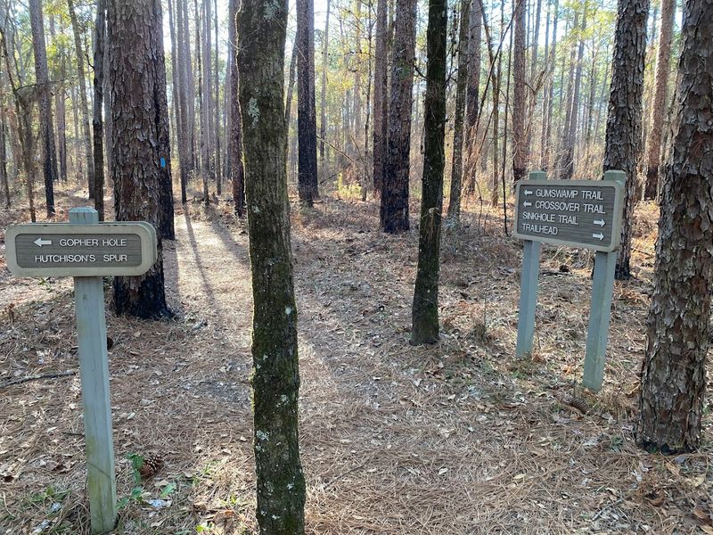 Trail Logistics: Everything You Need to Know Before You Go