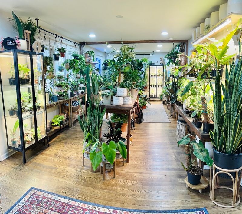 Unique Plants You Won't Find Everywhere