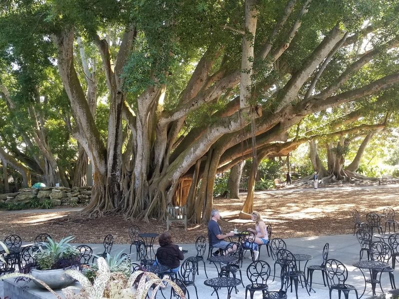 Dining at the Garden Cafe and Bayfront Lawn