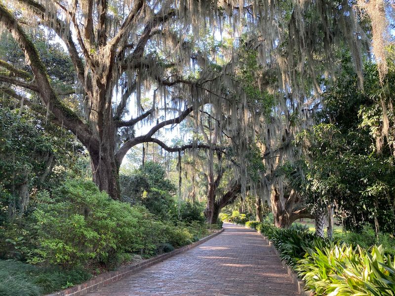 Alfred B. Maclay Gardens State Park (Tallahassee)