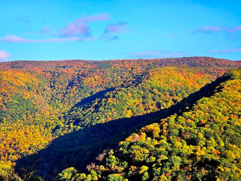 Baughman Trail, Ohiopyle State Park, PA