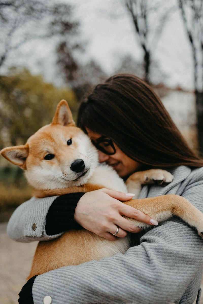 19 Meaningful Ways Dogs Help Improve Our Emotional Health 8 Increasing Serotonin and Dopamine Levels