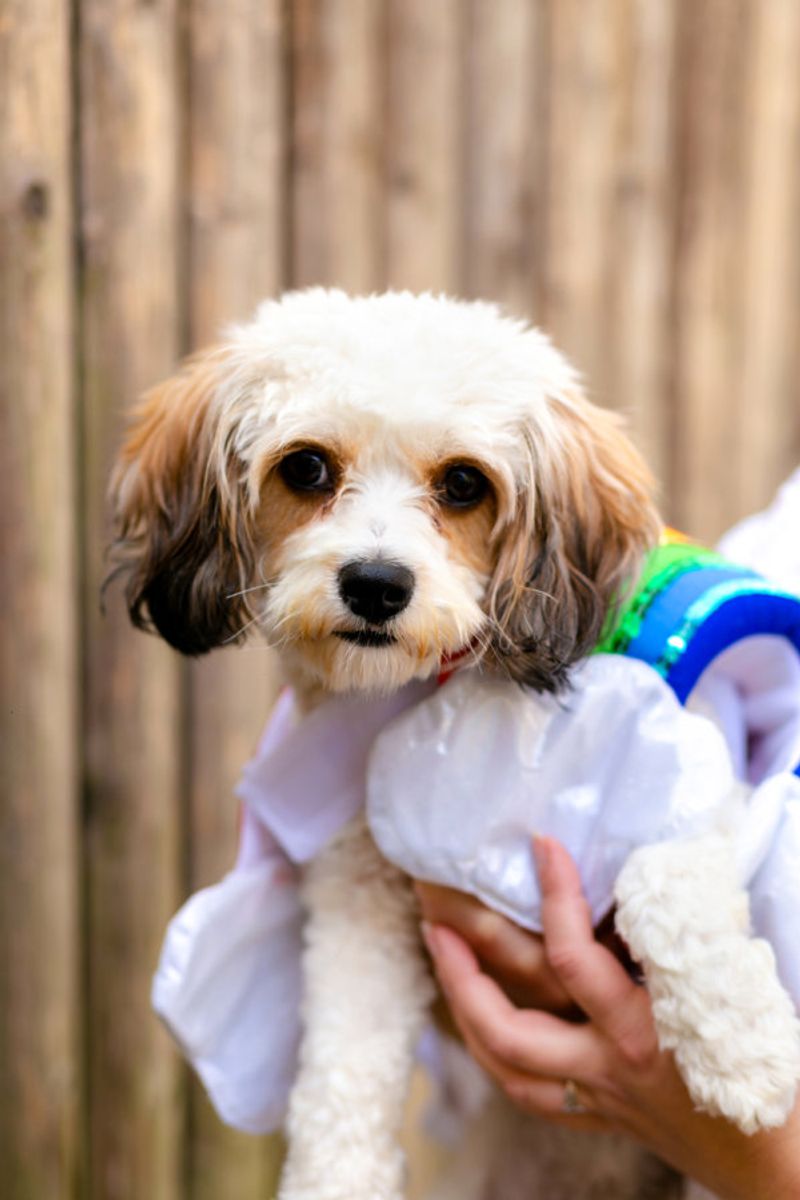 Interrupting conversations