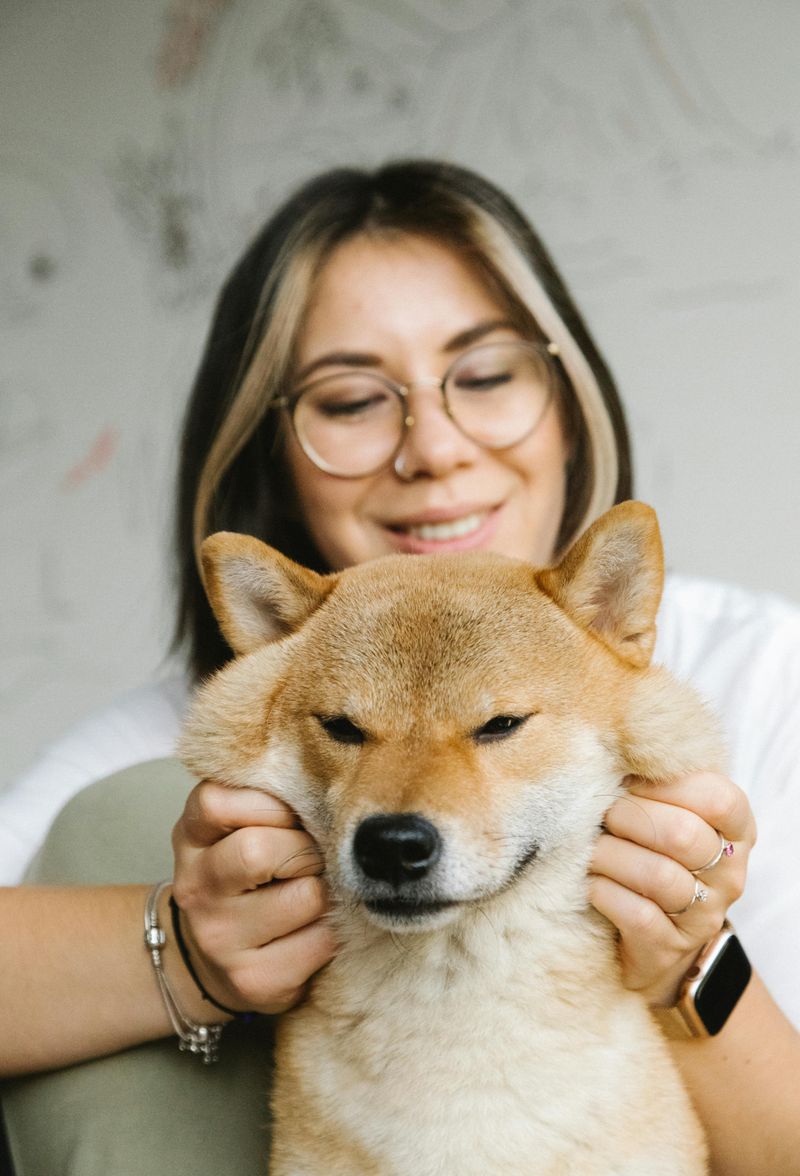 Akita Inu