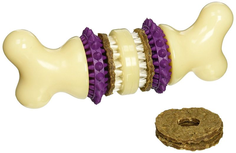 PetSafe Busy Buddy Bristle Bone