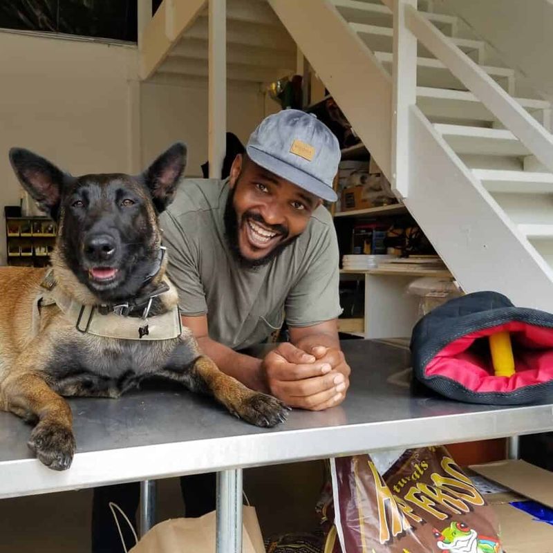 15 Quiet and Remarkably Subtle Ways Dogs Watch Over and Care for Their Humans 14 Returning to your side after investigating a noise