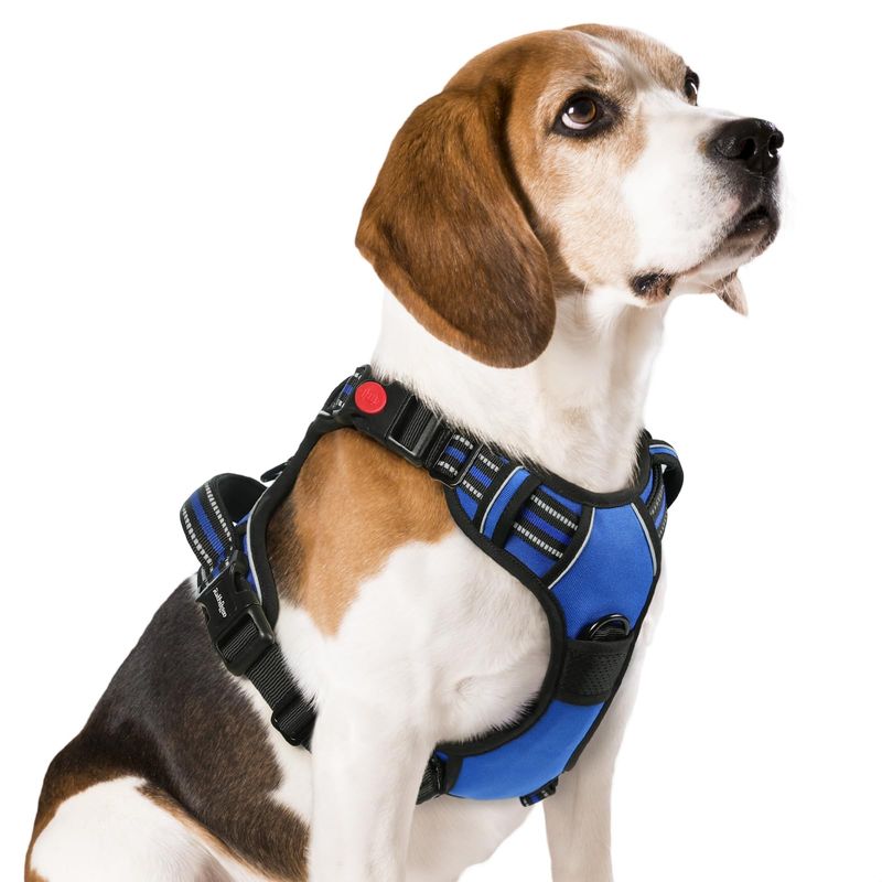 Rabbitgoo No Pull Dog Harness