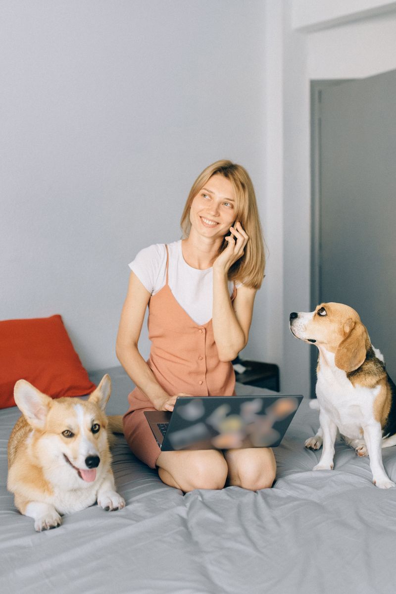 Before buying another toy your dog ignores, try giving its brain something harder to chew on 10 Problem-solving jobs at home