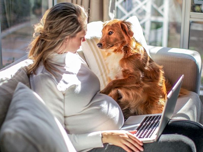 Pregnancy-related Scent Changes