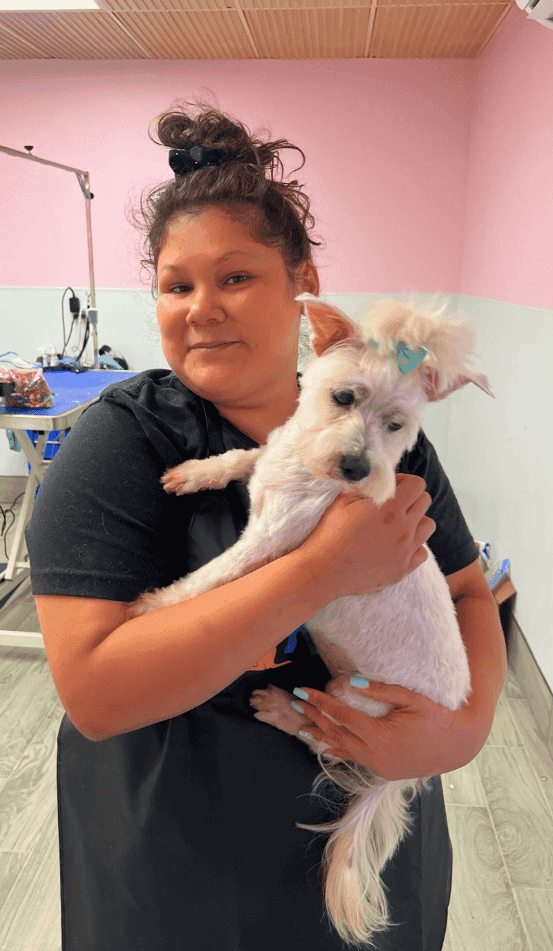 Adjusting Human Body Language and Tone