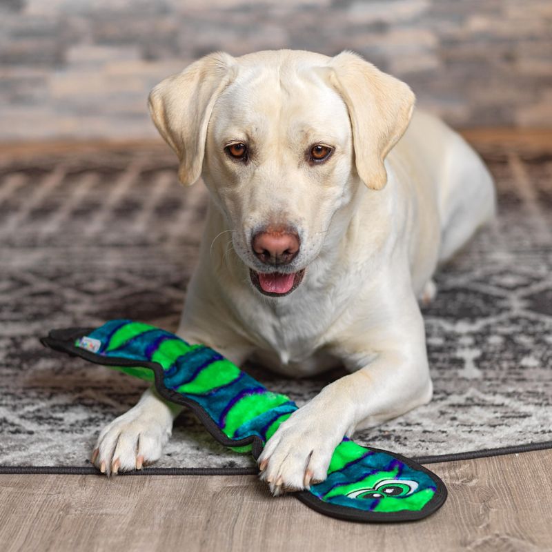 Outward Hound Invincibles Snake