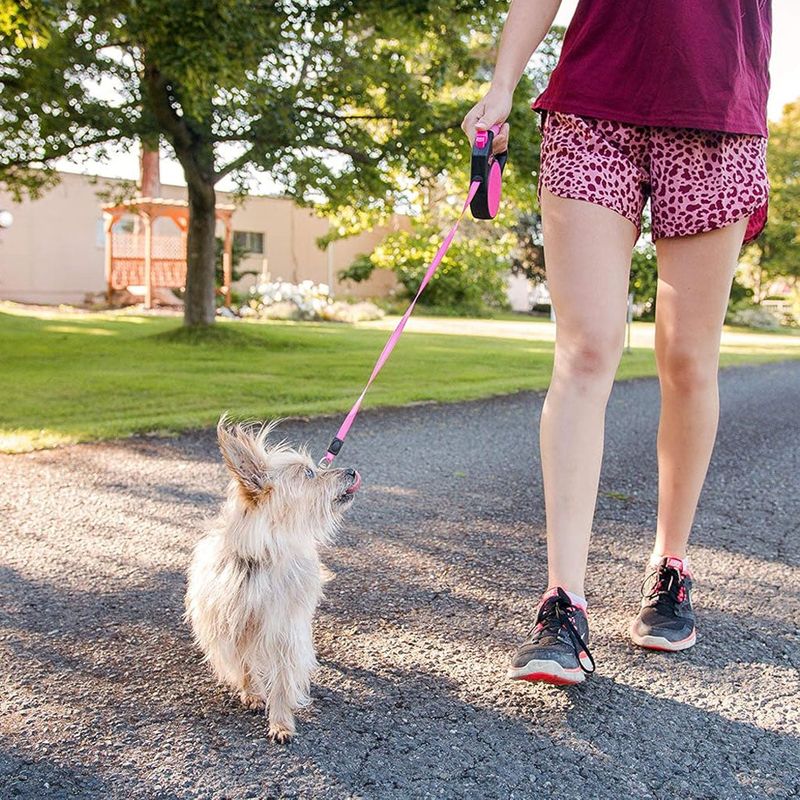 Cooling Leash