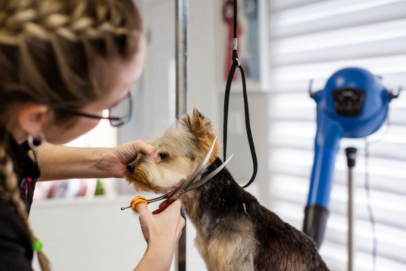 Proper Grooming