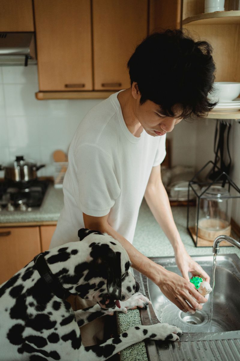 Household Chemicals and De-Icers
