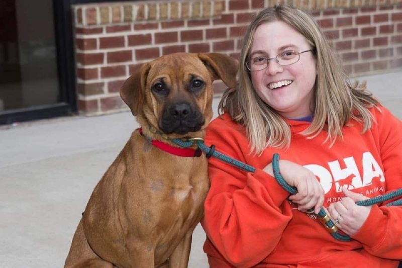 10 small acts that can make a huge difference for shelter dogs 11 Encourage responsible adoption