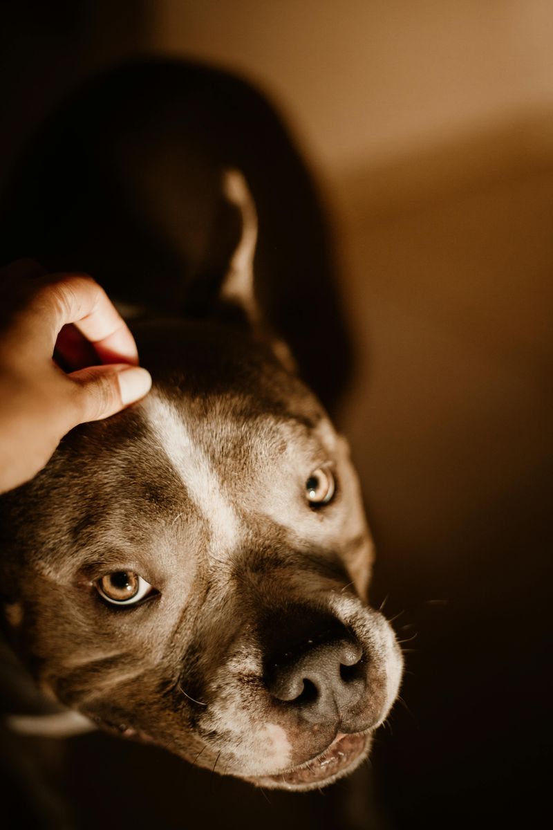 Looking deeply into your eyes and holding eye contact longer than usual