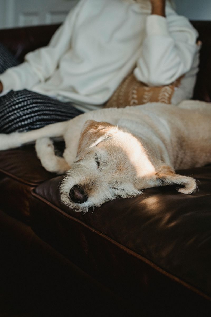 Sleeping near you