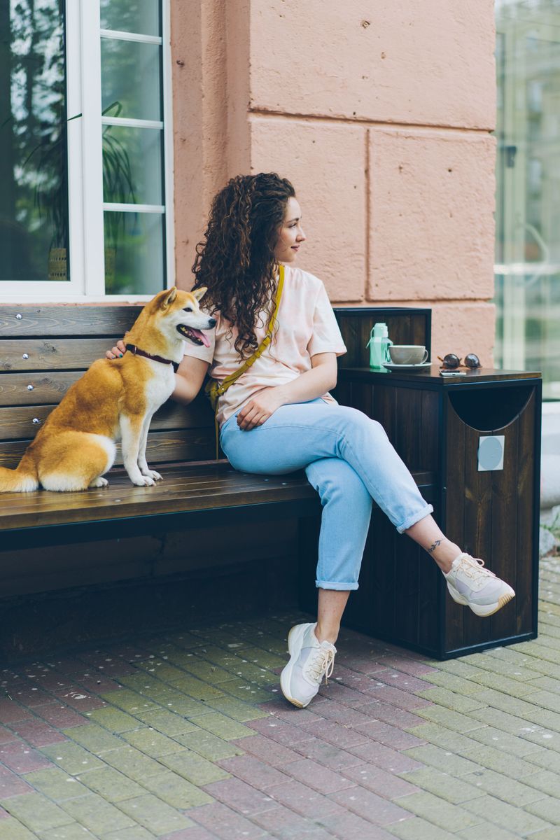 Introverts aren't avoiding people - they're choosing these 13 incredible dog breeds instead 2 Shiba Inu