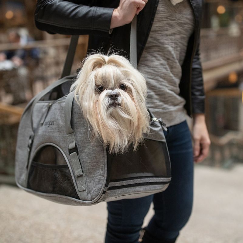 Bergan Comfort Carrier