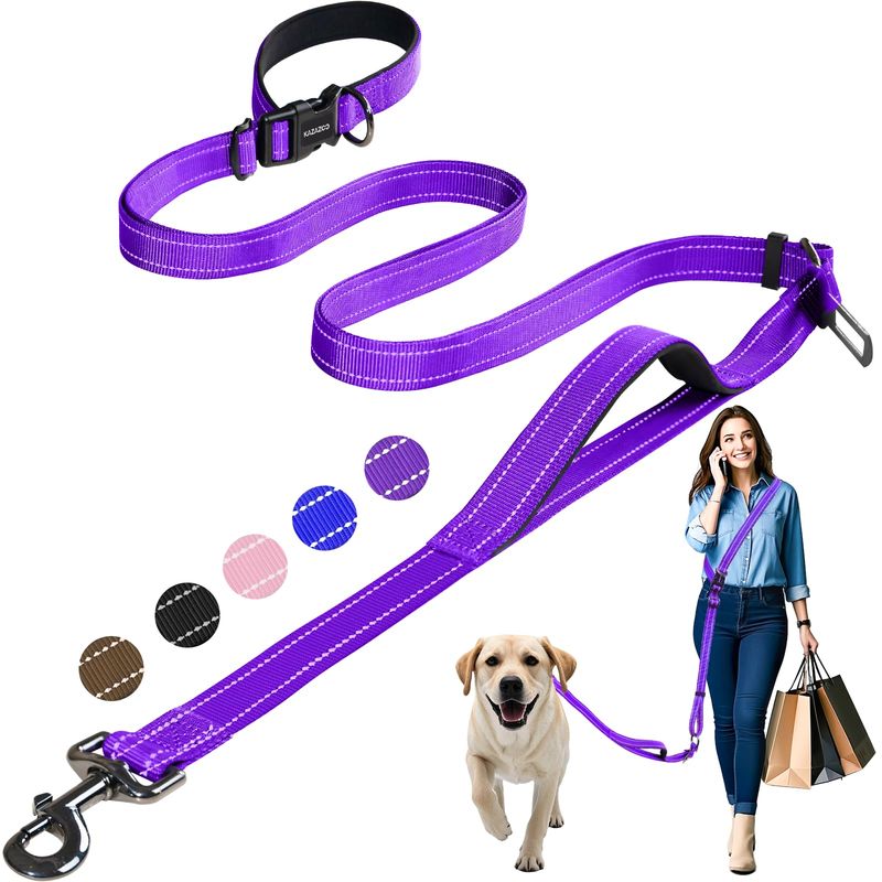 Reflective Leash