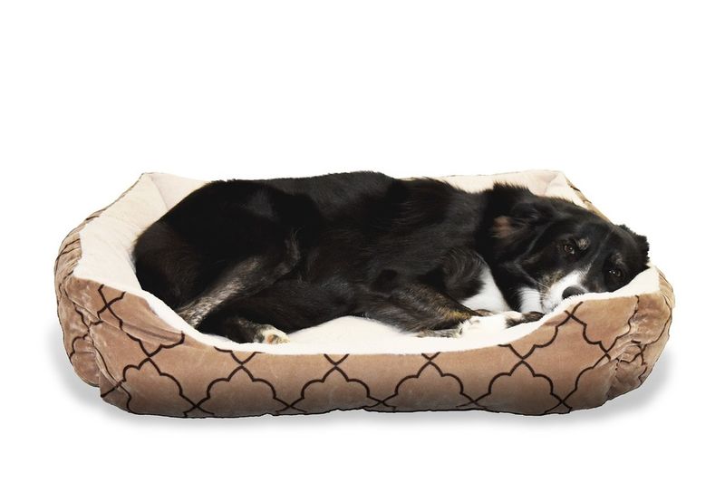 Use Orthopedic or Memory Foam Dog Beds