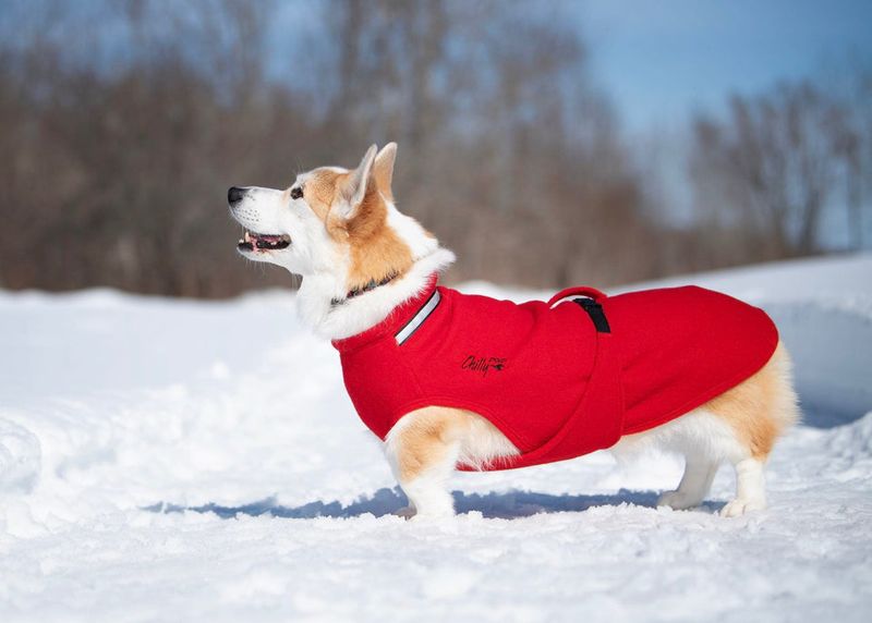 Luxury Alpine Coat