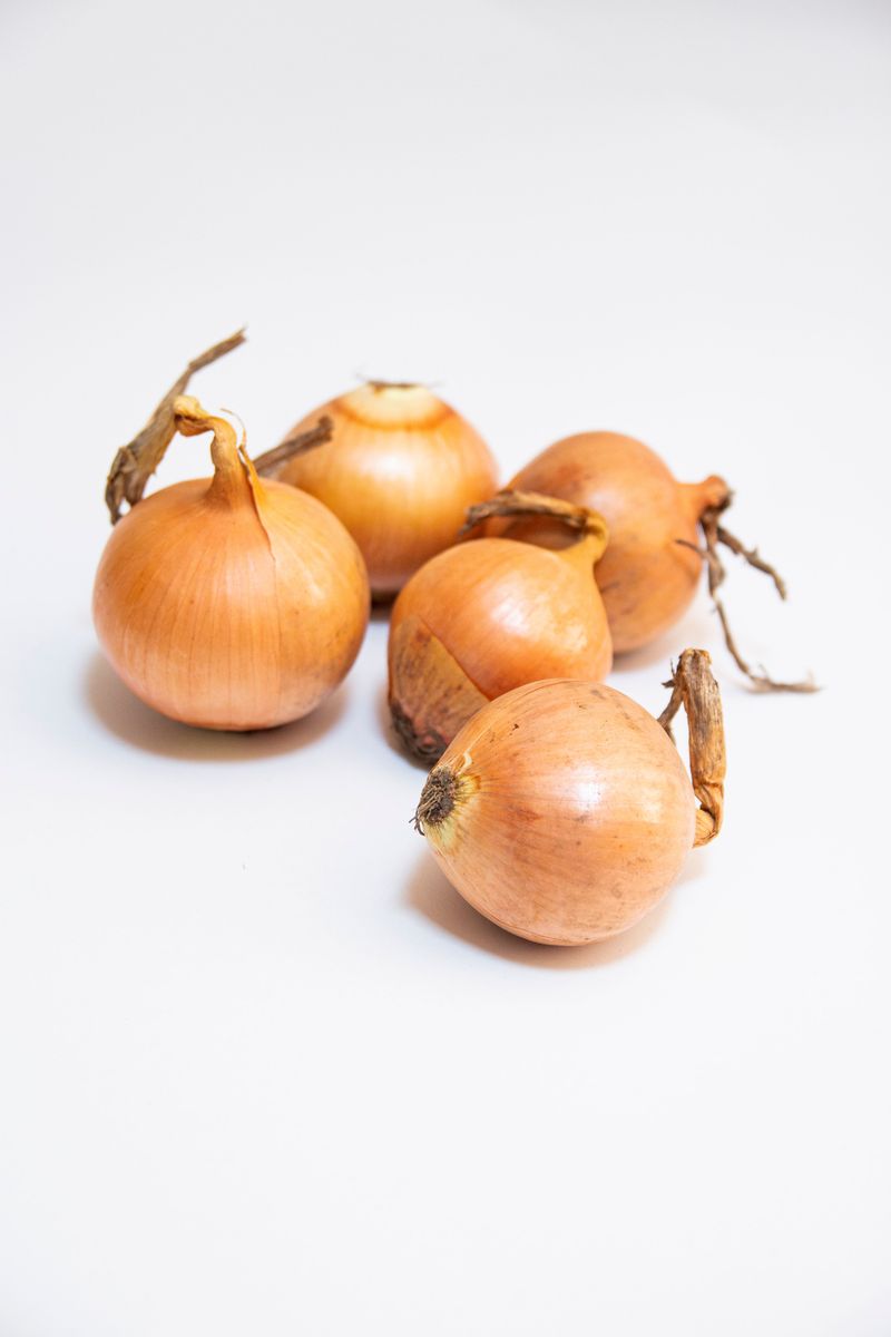 Every dog owner should know these 13 dangerous foods before it's too late 6 Onions