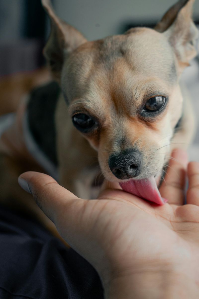 Licking