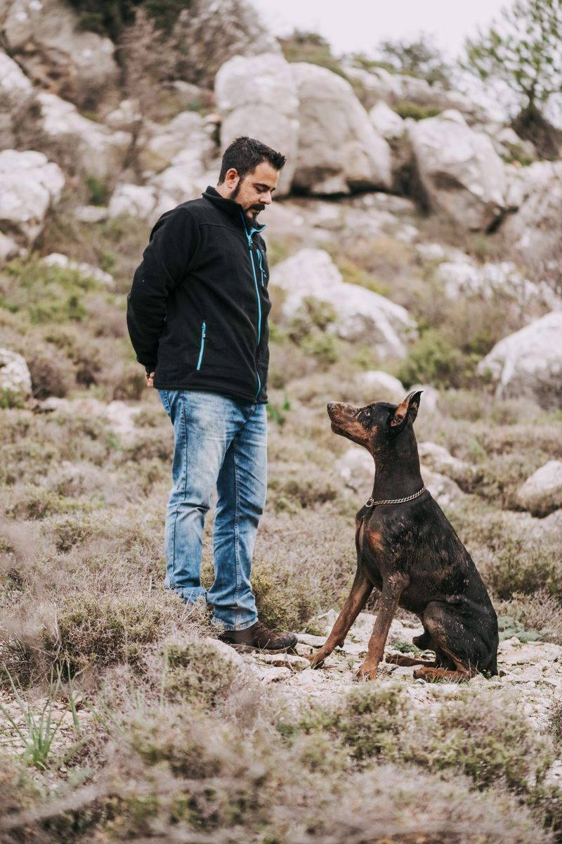 These dogs can enjoy the whole household while making their favorite human painfully obvious 4 Doberman Pinscher