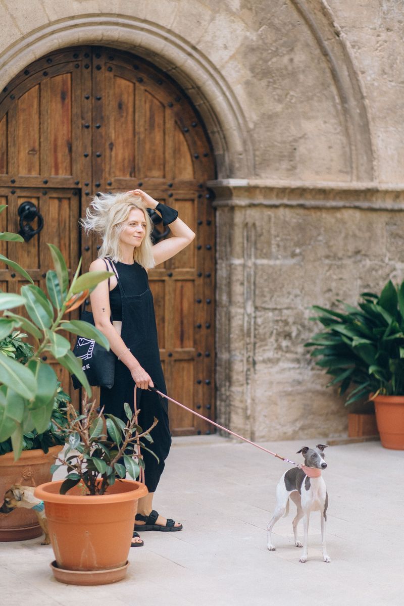 Human closeness isn't optional for these 10 deeply social dog breeds 11 Italian Greyhound