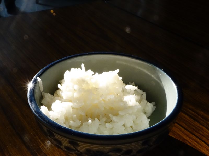 9 foods people think are dangerous for dogs but are usually fine 6 Plain rice